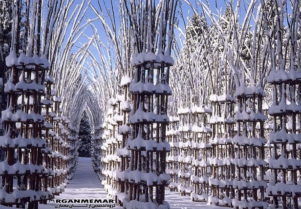 «کلیسای درختی»؛ زیباترین نمونه معماری طبیعی 